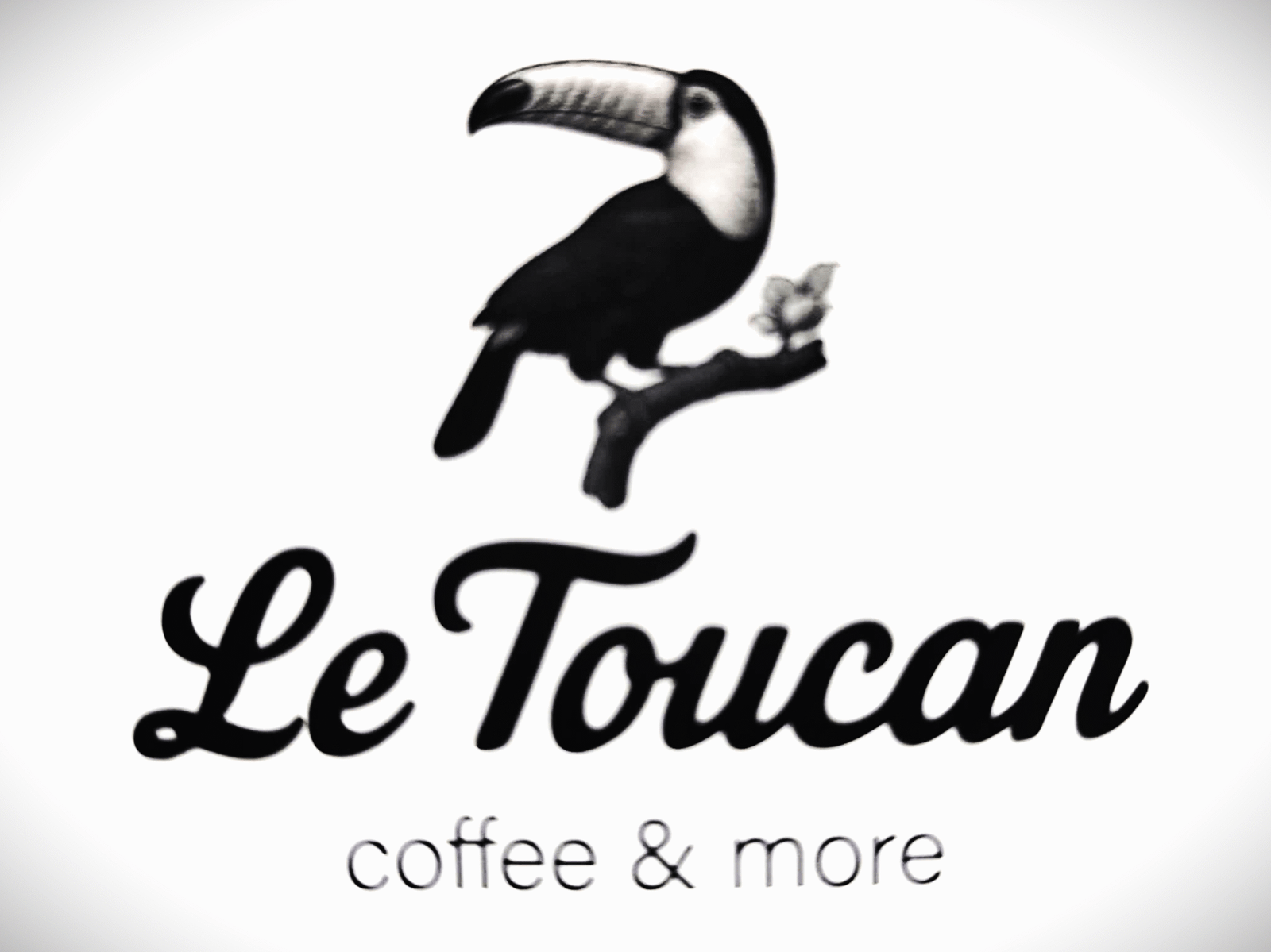Le Toucan